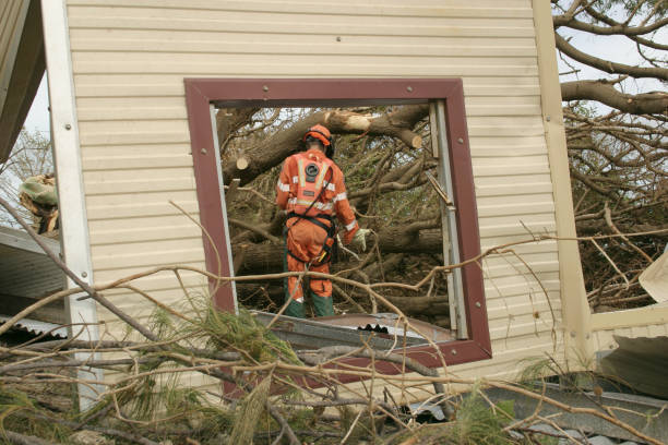 Best Arborist Consultation Services  in Foster City, CA